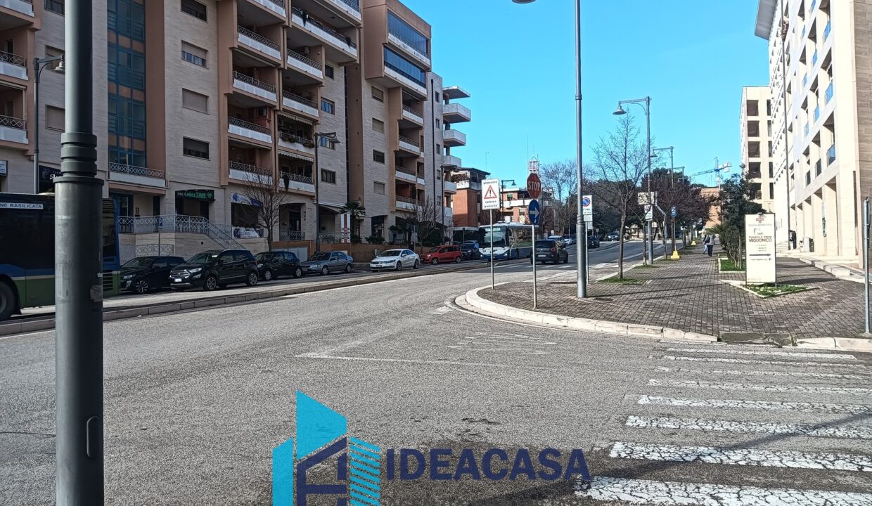 IMG20260123124247