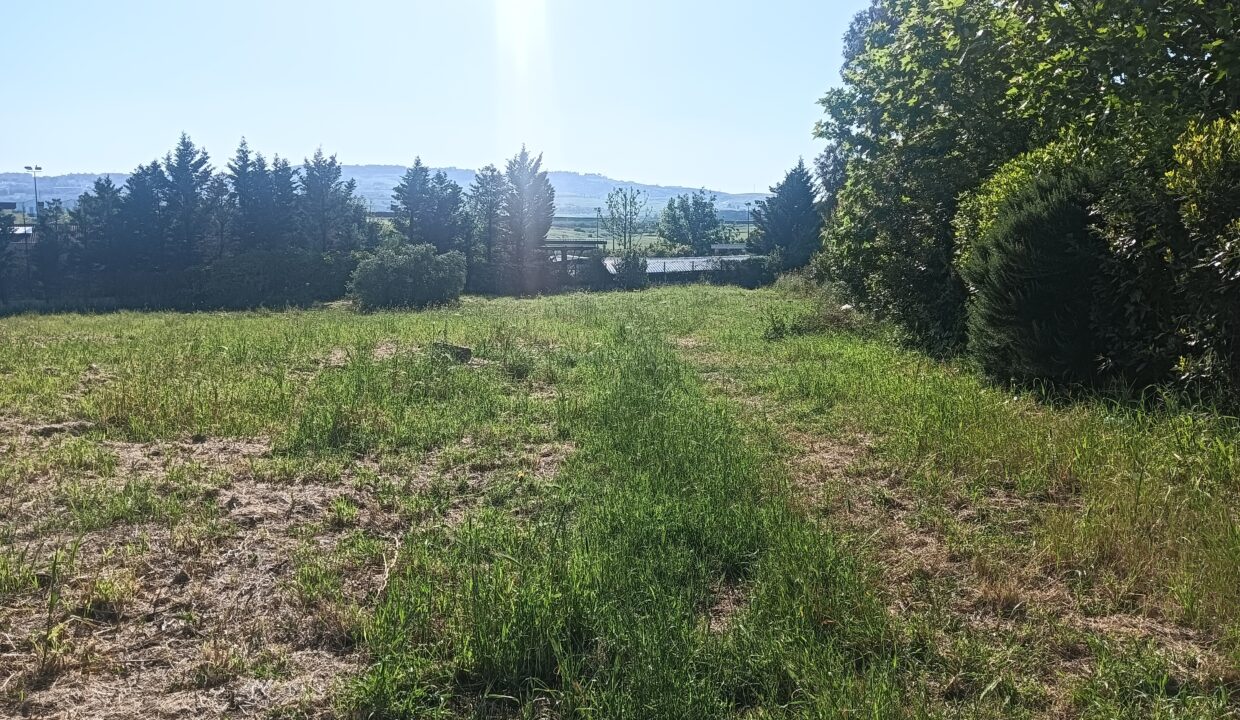 IMG20260509083715